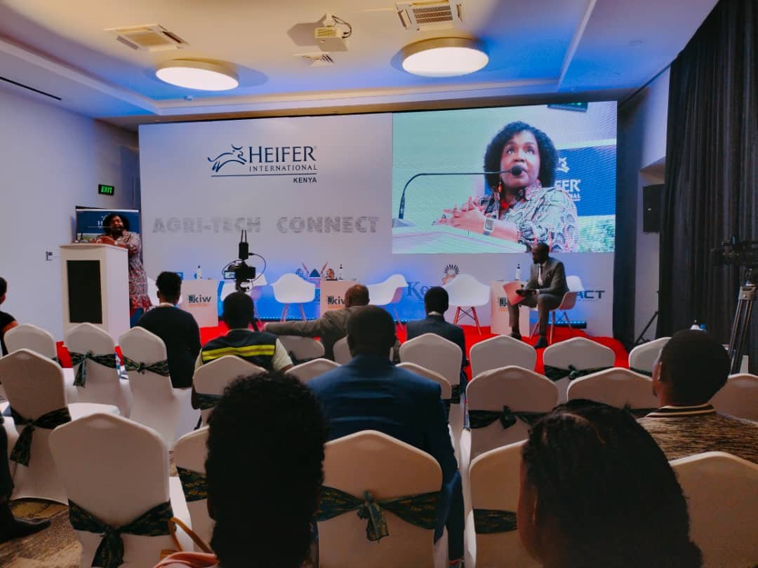 Heifer International Kenya announces second edition of AYuTe challenge ...