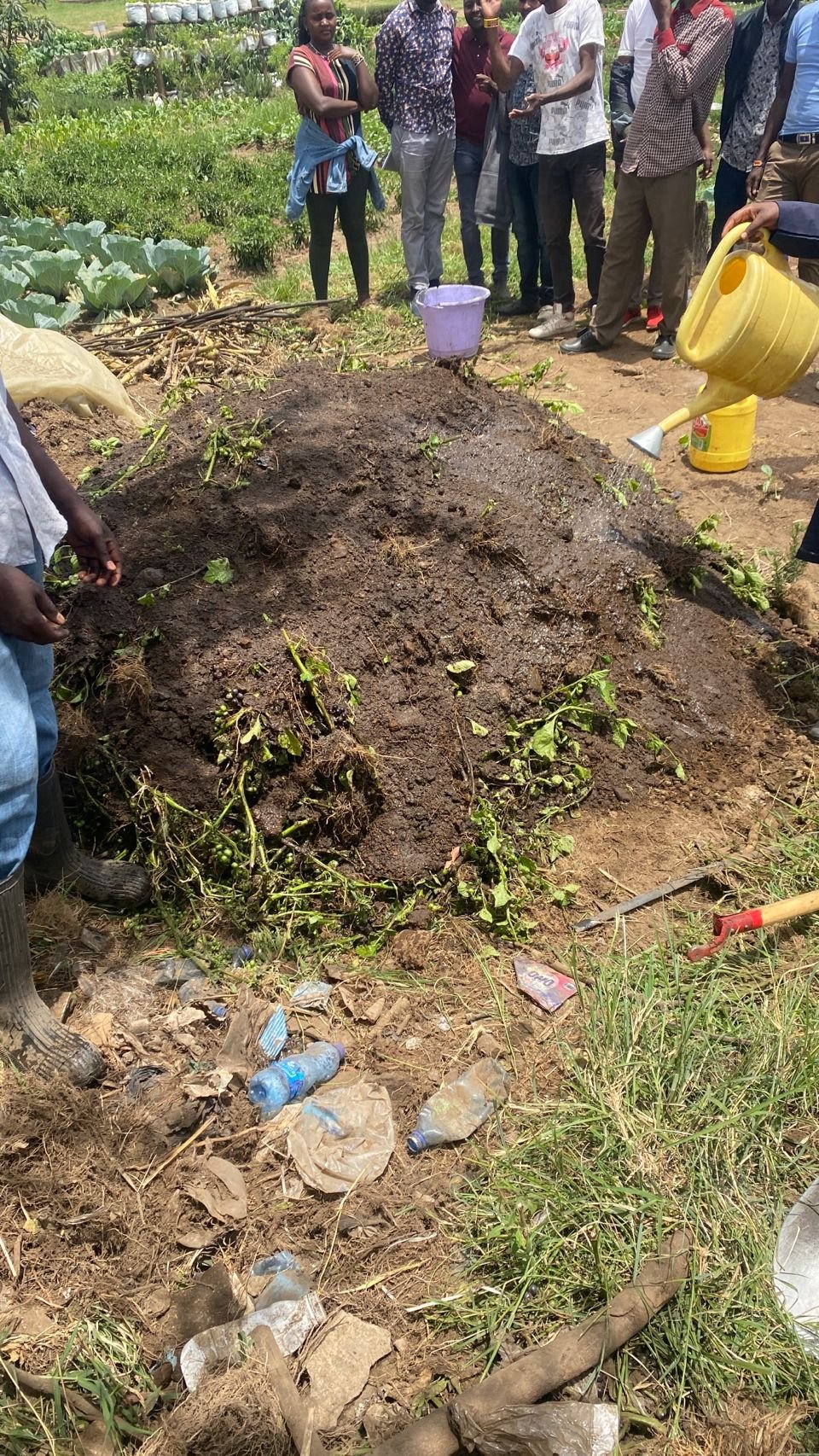 Preparing Compost Manure The Dos And Donts Panafrican Agriculture