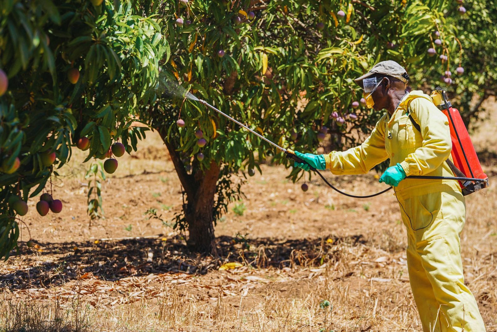 Fostering an objective debate on safe pesticide use and disposal