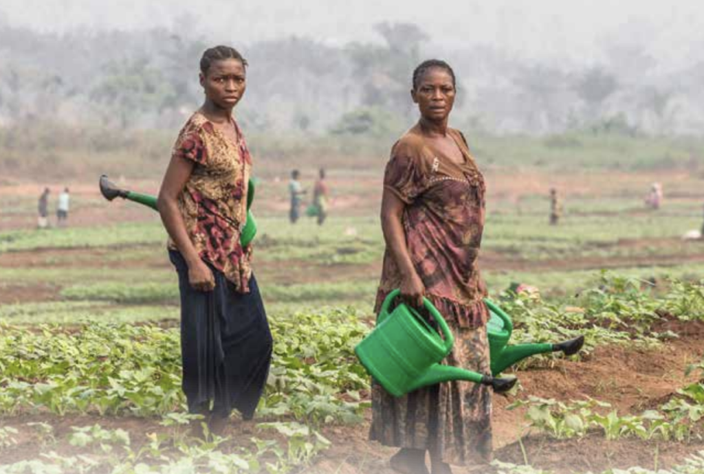 How DRC conflict is threatening food security in the region ...