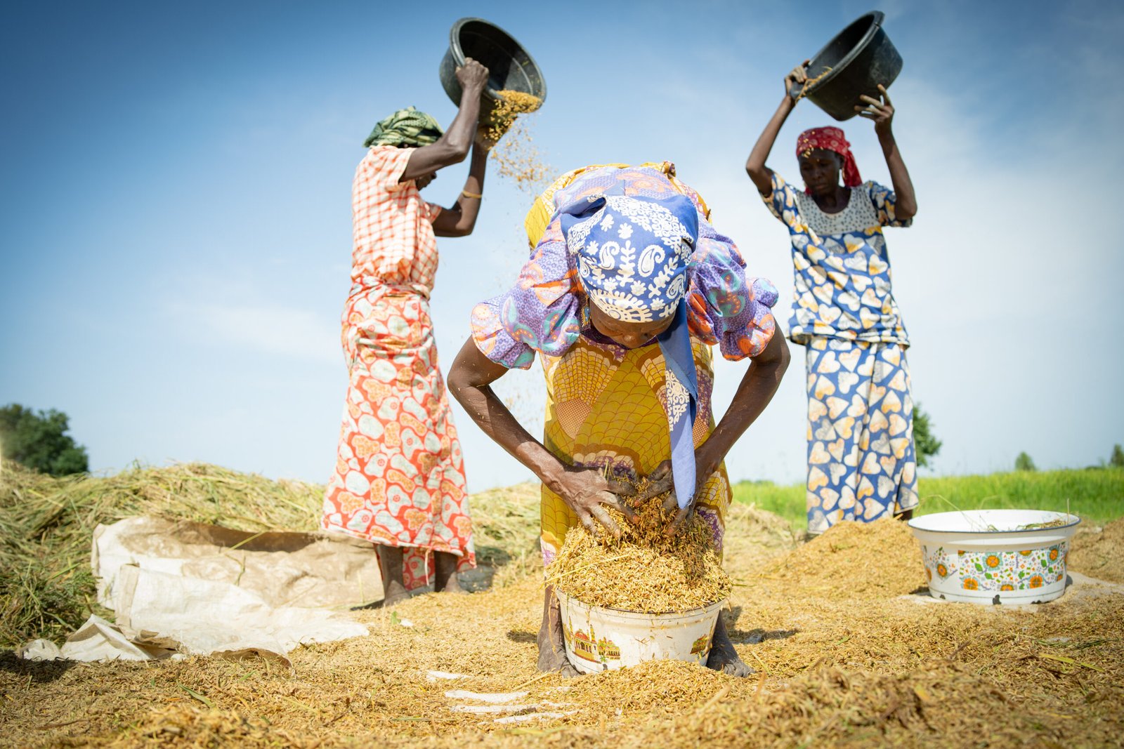 Heifer International Kenya announce the 2025 AYuTe Africa Challenge ...