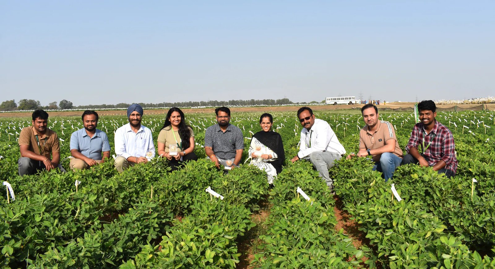 Scientists find genes that make groundnuts easier to peel, boosting ...